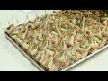 Video-salles-BELVEDERE-fev-07