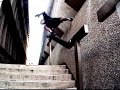 Final Jump (reverse effects)