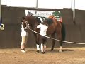 Pirates of the Caribbean - Show Vaulting