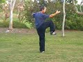 Shaolin Crane in Flight
