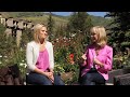 Click here to watch this video Quintess Collection's Vail, Colorado Destination Feature.mp4