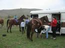 Horseback Riding