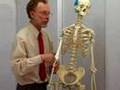 Dr Irwin Abraham, Sports Medicine