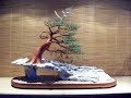 Bonsai Tree Sculpture #22 by Jim Shull