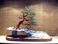 Bonsai Tree Sculpture #22 by Jim Shull
