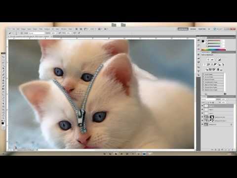 cat mask