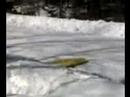 Wisconsin Kneeboarding