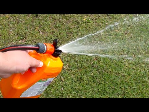 how to eliminate weeds