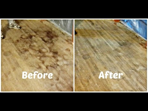 how to remove urine stains
