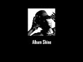 Estelle - Shine ( Prod. By Swizz Beatz )