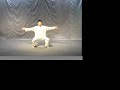 Hunyuan Qigong Video by Chen Zhonghua