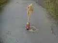 Skyward Coke