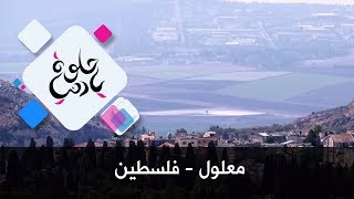 معلول - فلسطين - حلوة يا دنيا