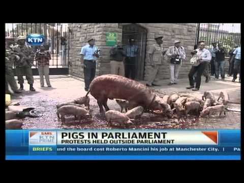 kenya - Watch KTN Streaming LIVE from Kenya 24/7 on http://www.ktnkenya.tv Follow us on http://www.twitter.com/ktnkenya Like us on http://www.facebook.com/ktnkenya K...