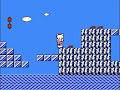 Super Mario Bros. 2 speed run