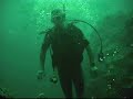 SCUBA diving with Dolphins and Manta Rays