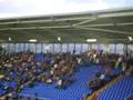 stand up if you hate the wolves (Albion n shrewsbury fans)