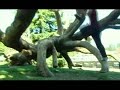 Vancouver Traceurs (Demo Reel 05.08) Vancouver Traceurs (Demo Reel 05.08)