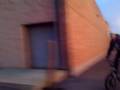 Riding bikes.