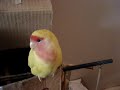 minou-has-a-little-secret.html