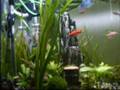 co2 a topeee!!!_0001.wmv