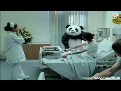 Ne refusez rien à un panda !