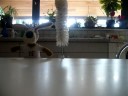 trouwen