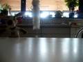 videos de trouwen