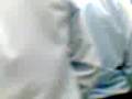 videos de pingvinos en metro