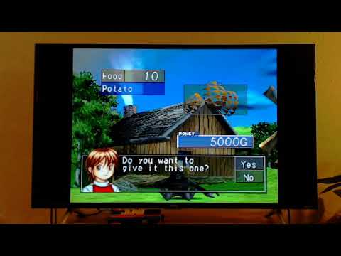 動画