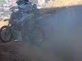 deegan