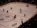 Leafs -vs- Preditors