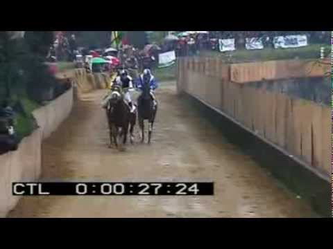 palio di buti 2013 - Alessandro Leporini - 03/gen/2014