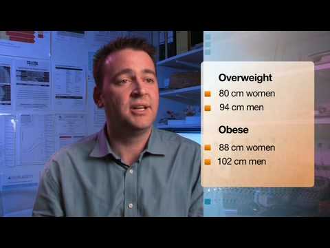 how to assess bmi