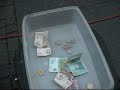 Sini Vlaisavljevic Travelogue Belgrade Serbia