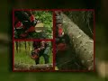 Lavorare con la Motosega Jonsered