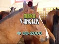 Leilão Equino da Fundação Alter Real