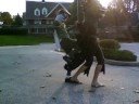 Mr. Godzilla vs. The Insane Musketeer