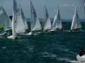 COUPE DE BRETAGNE DRAGONS DOUARNENEZ 2009