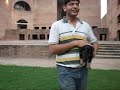 Puppies at IIM Ahmedabad Puppies at IIM Ahmedabad