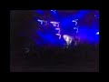 vive latino cafe tacuba 2007 las flores