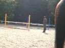haras de st leu