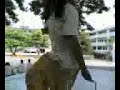 jump sabel, jump!