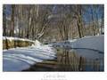 Canteloube - Chants' d'Auvergne: Pastourelle