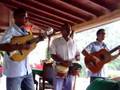Cuban Song