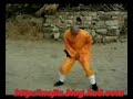 Shaolin Kung Fu