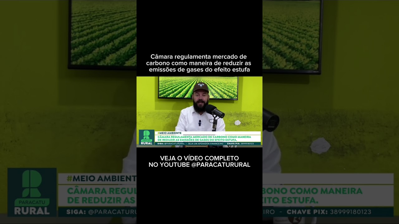 Câmara regulamenta mercado de carbono como maneira de reduzir as emissões de gases do efeito estufa
