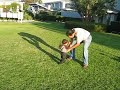 babaie and shirzad in the field
