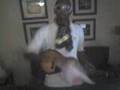 Delroy doing snoop