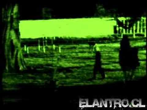 Peloton, Marengo y (da lo mismo), el ...
